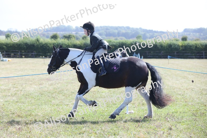 20250831-2493 - Class 16 - Family Pony