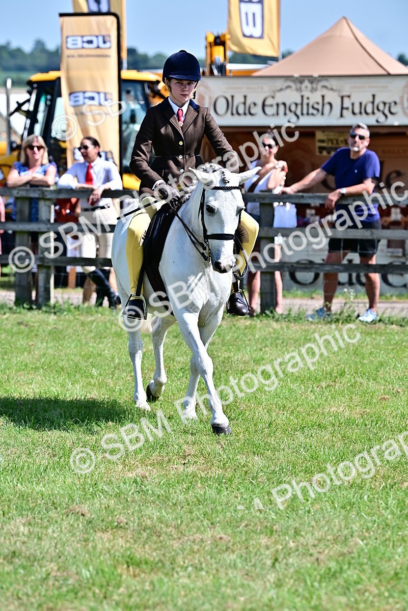 SBM_13908 - Class 95-97 - BSPS LHS Performance Ponies