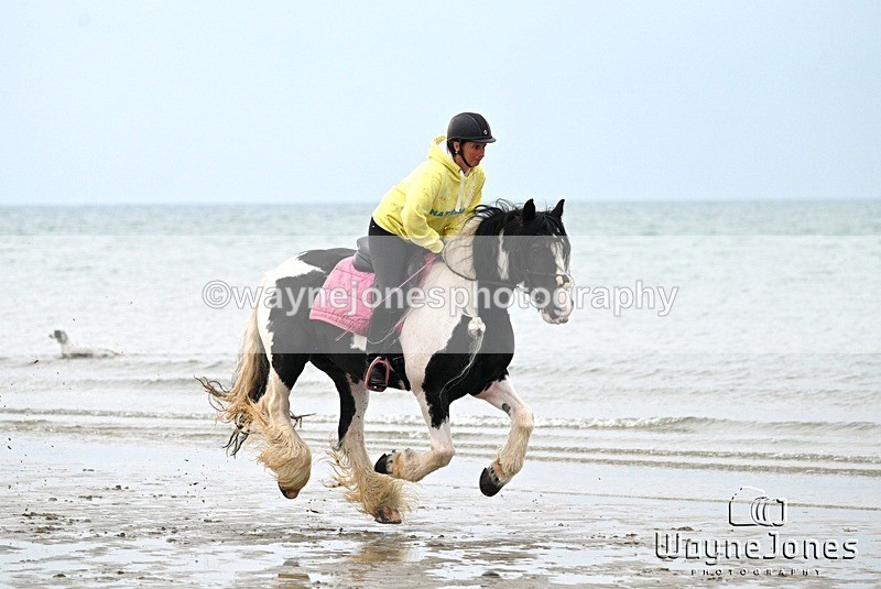 WJ7_9069 - Hayling Island Beach Shoot 22-09-24