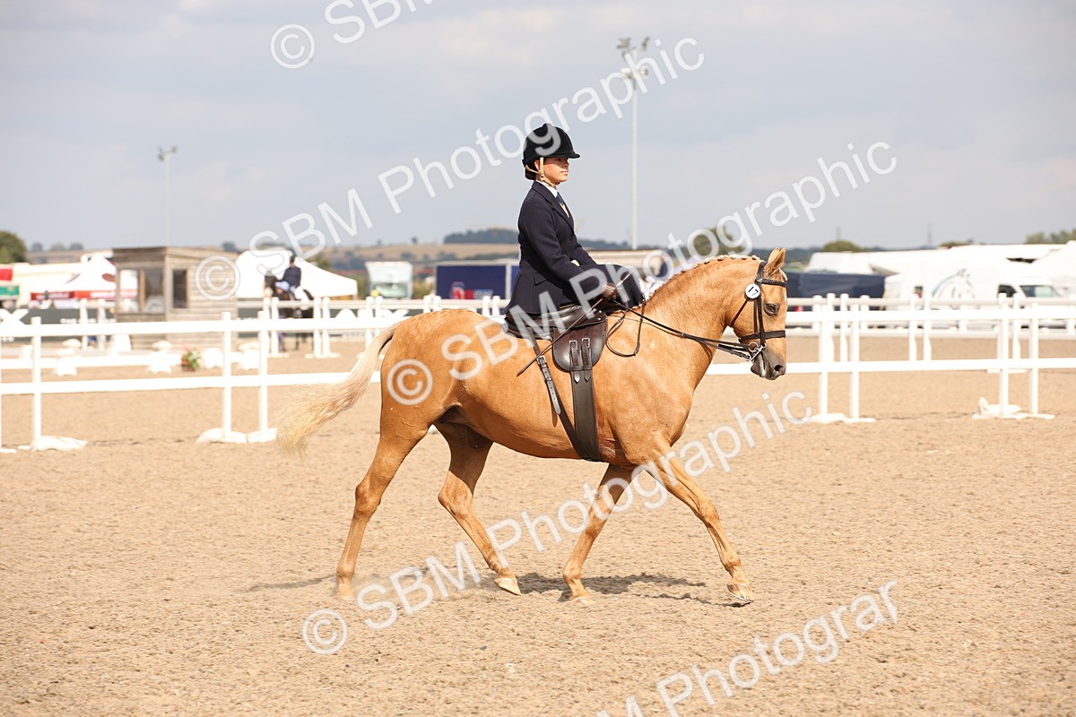 SBM_06765 - Class 24 Concours d'elegance