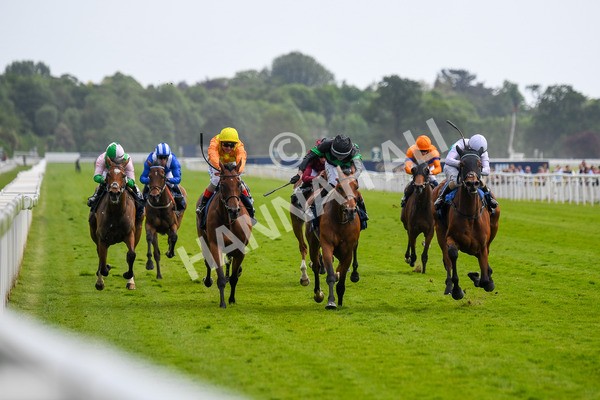 270523-Race 4-River of Stars-0582 - Race 4 3.15pm William Hill Bronte Cup Fillies' Stakes