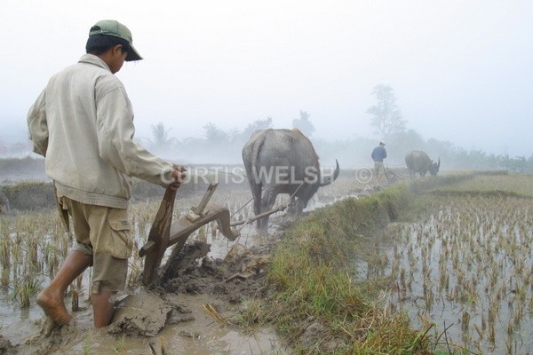  - MYANMAR