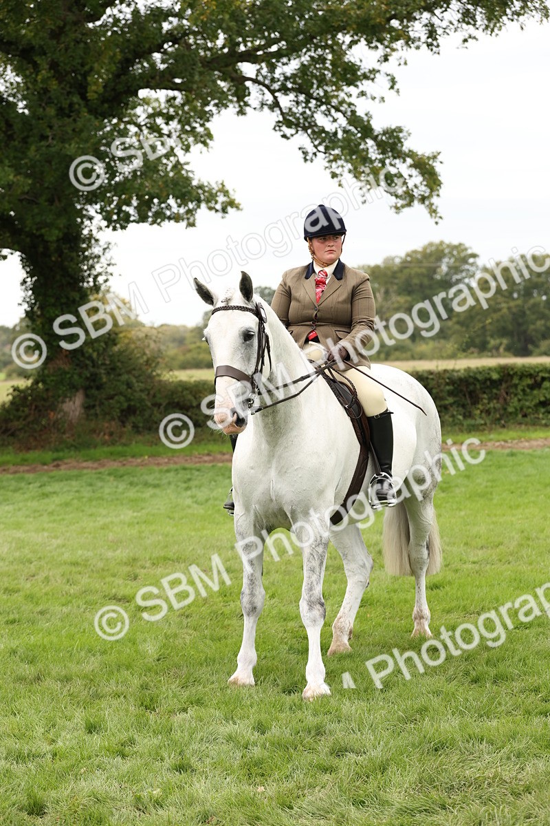 SBM_66368 - S66 - Hunter Ridden