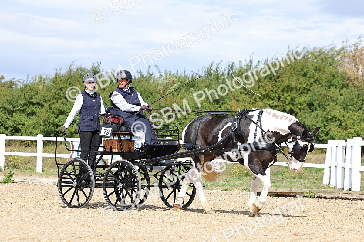 SBM_000863 - Class 8 - Novice Horse or Pony to any vehicle