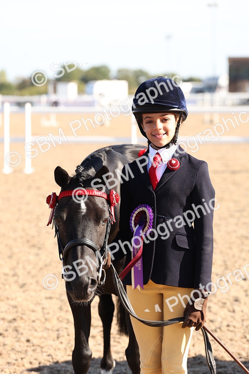 SBM_11701 - Class 203 - Young Handler 11 to 16 years