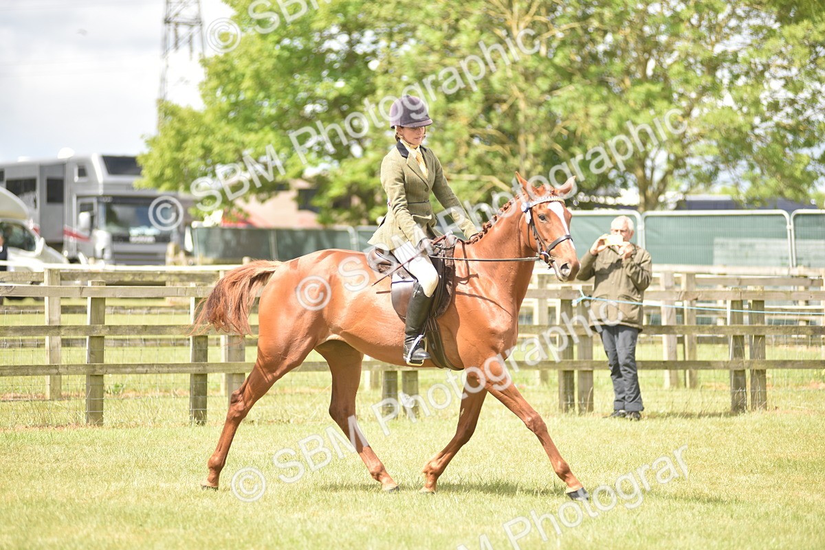 SBM_15112 - Class 113-114 - Retraining of Racehorses Ridden