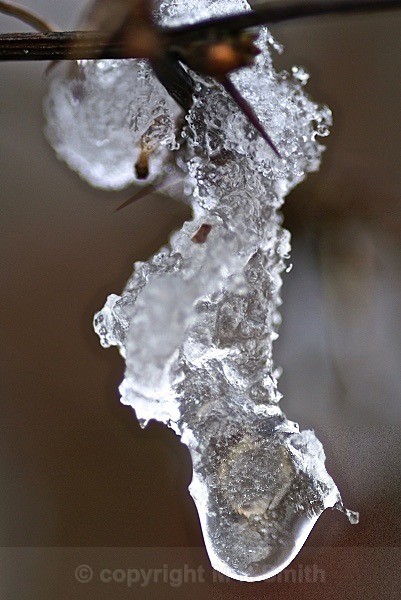 Snow Into Ice - MACRO & CLOSE UPS 2