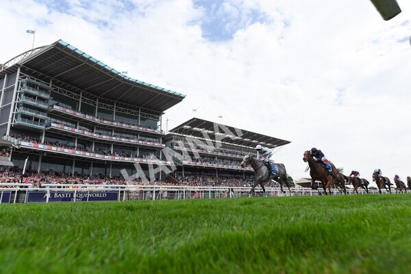 yr18082022r4-36 - Race 4 3.35pm Darley Yorkshire Oaks (British Champions Series Race)