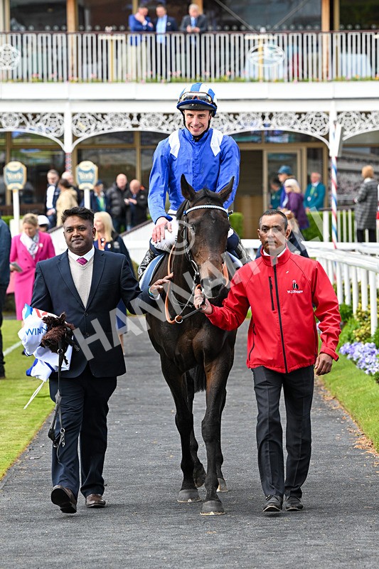 130526-Race 4-Elmonjed-3053 - Race 4 3.30pm Go Local Stores Minster Stakes