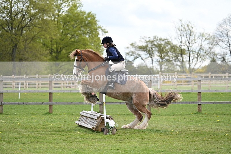 WJ7_6343 - 60cm Time 11:12 to 11:36