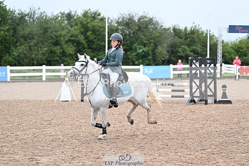 240908A-100802-02701 - Cls 17 Pony Intro 75cm