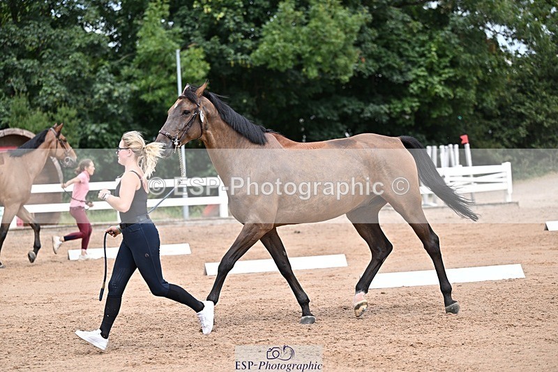 250716-132835-00543 - Trot Up 12.30 to 1.30