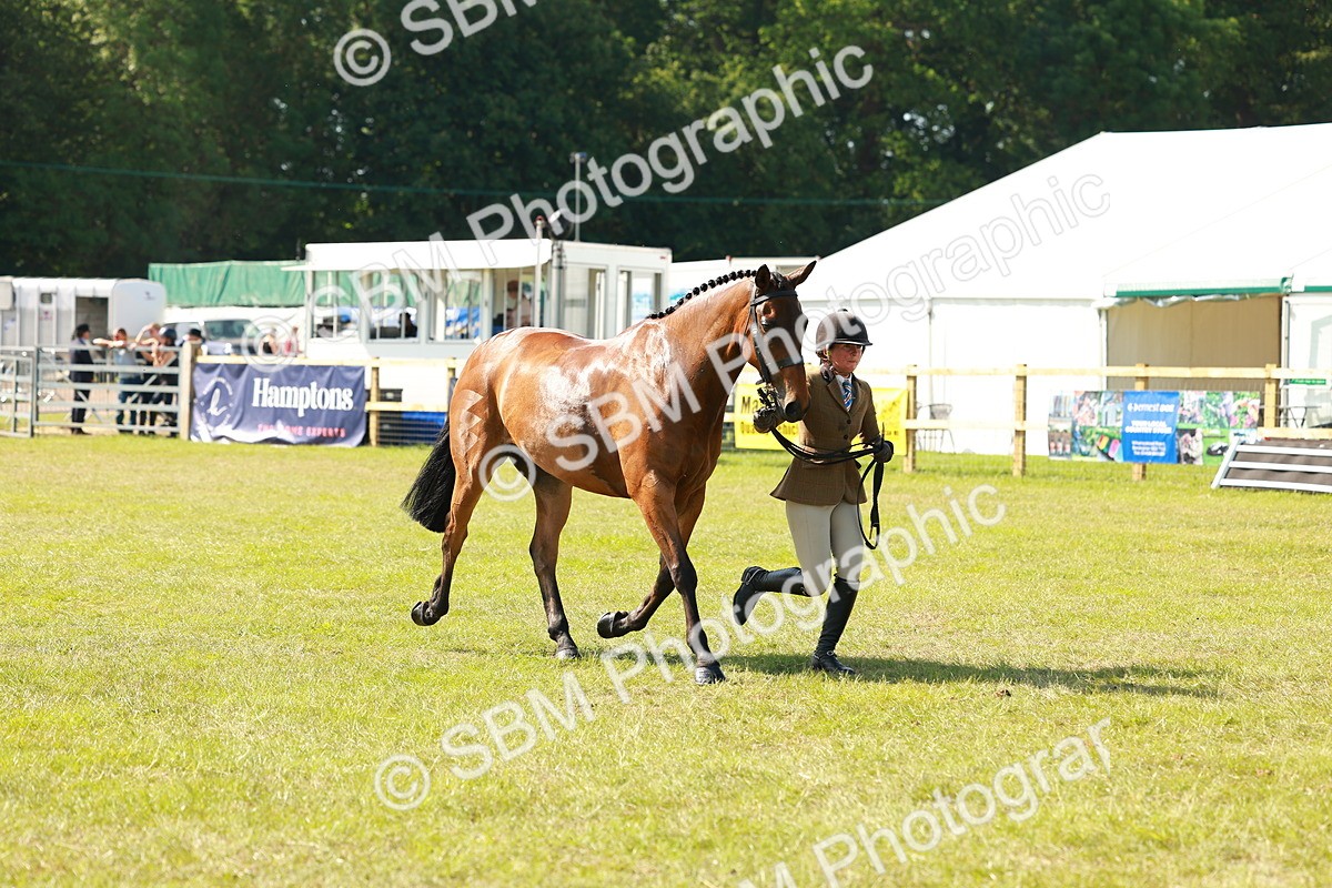 SBM_12063 - Class 66-69 - RIHS Ridden Hunters Inc Small Hunter