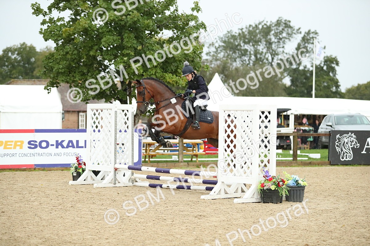 SBM_34307 - J60 Clear Round 50cm