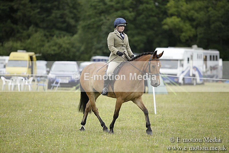 BVR160717-1027 - Ring 1 BVRC Show 16/07/17