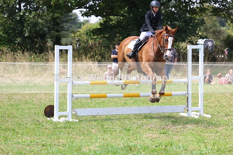 3E7A3009 - Class 7: Senior British Novice/90cm open