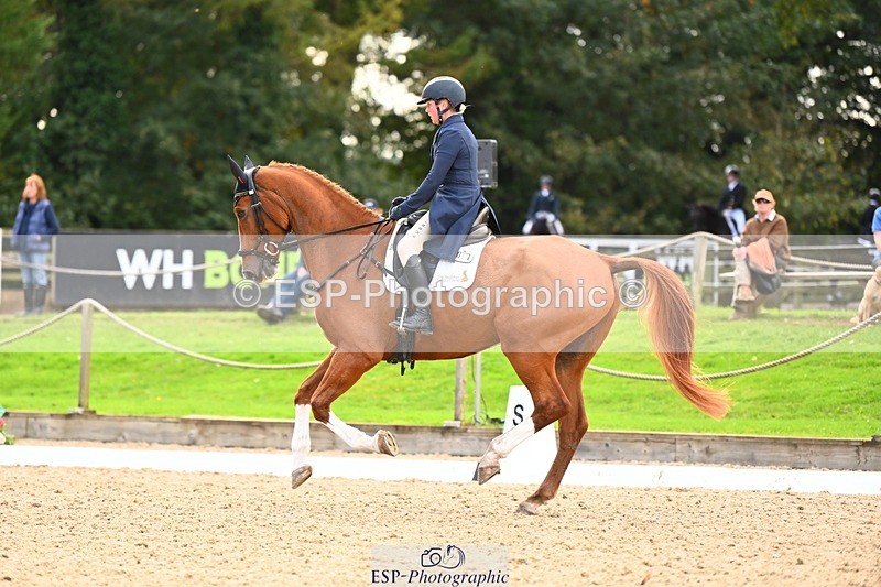 231020-145752-10050 - 311-DALOUBET.MANSOLEIN.Z-Kat.Raybould-DR