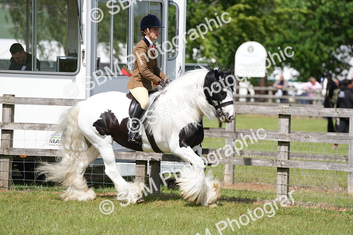 SBM_17130 - Class 107-108 - LIHS BSPS Performance Coloured Horse Pony