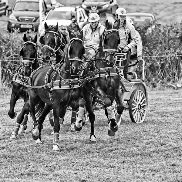 SBG_6332 - Sylv & Dougie Days Out.
