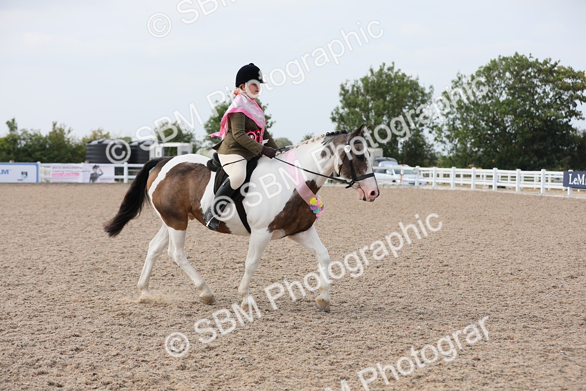 SBM_17067 - Class 314 Family Horse/Pony