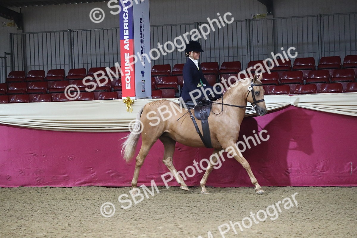 SBM_09379 - Class 101 Equitation (best rider), Junior