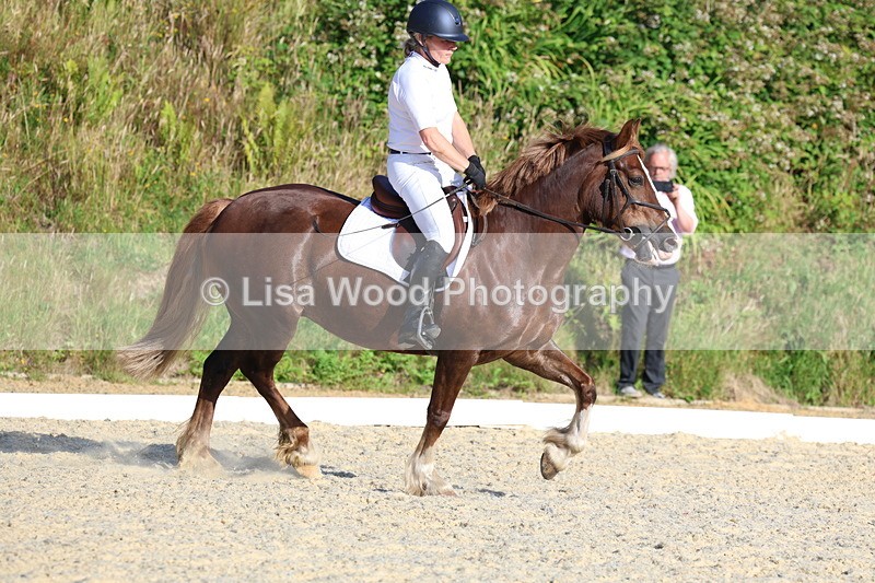 3E7A3672 - Class 2: Intro 1 2024 Section B