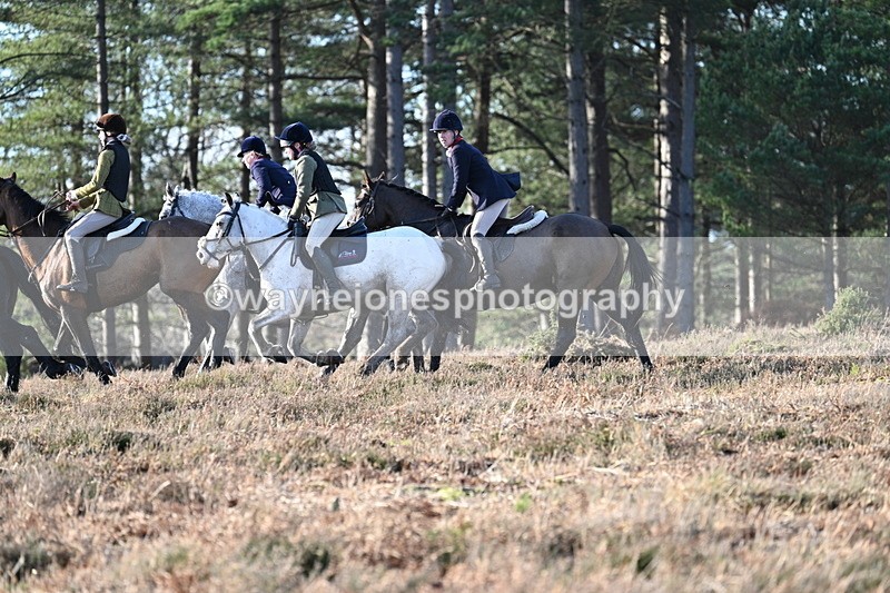 WJ7_7058 - Line 3 (no line 4 or 5)