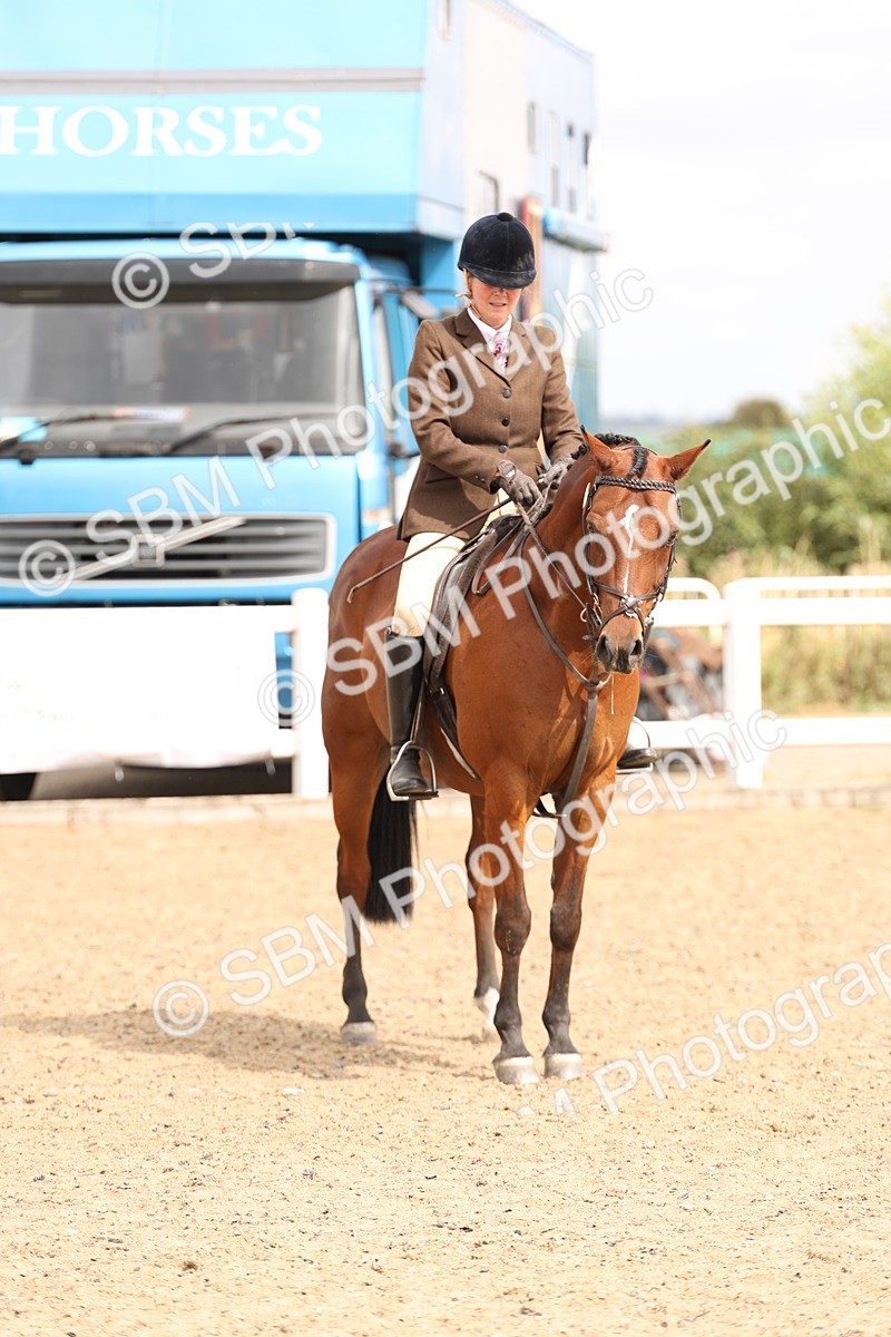 SBM_05170 - Class 56a -  Style & Performance - 50cm (15-19)