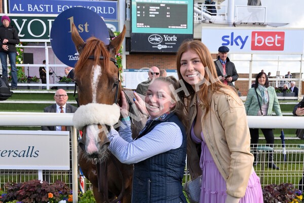 yr11052022r7-39 - Race 7 5.15pm British Stallion Studs EBF Novice Stakes