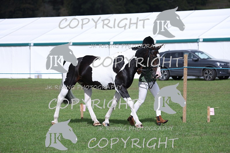 APP_2600 - Class 9 Veterans in hand