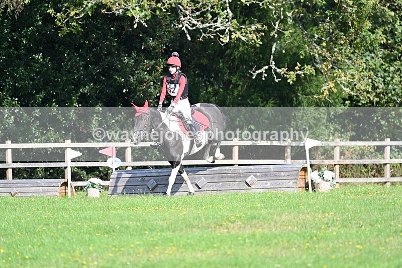 WJ7_4914 - 60cm Time 11:11 to 11:19