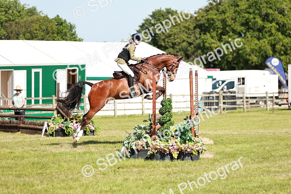 SBM_18819 - Class 114 - RIHS & SEIB Open Working Show Horse