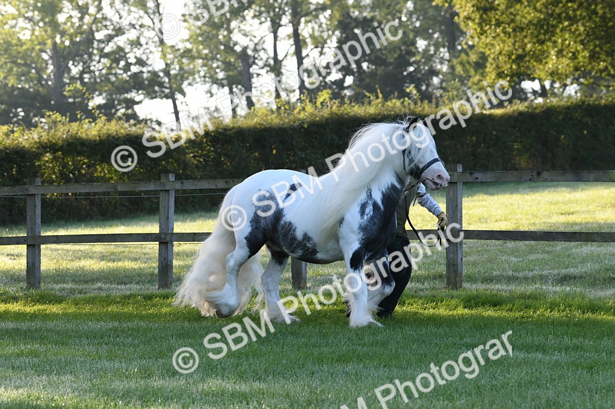 SBM_32552 - S15 - Condition & Turnout In Hand