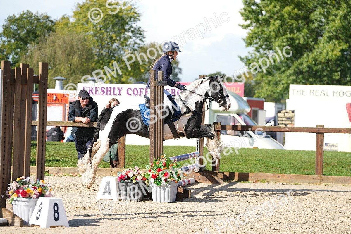 SBM_38184 - J6 - Junior Pony 55cm Championship