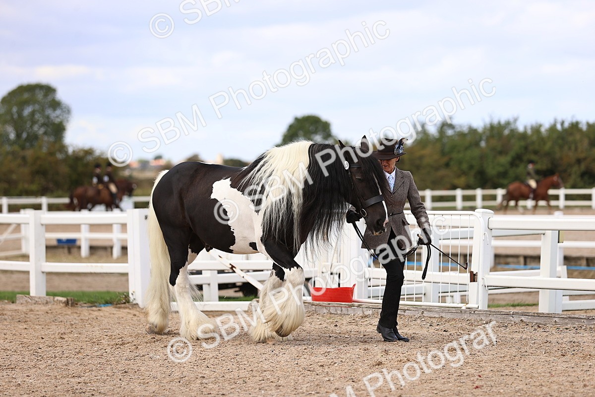 SBM_14499 - Class 414 - Best Maine and Tail - Adult