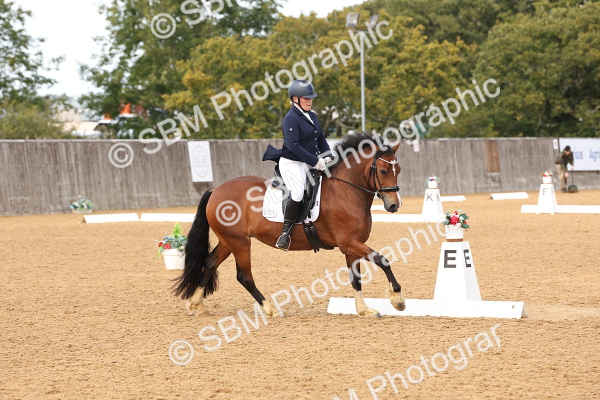SBM_47454 - D12 - Small Tour Championship prelim 2