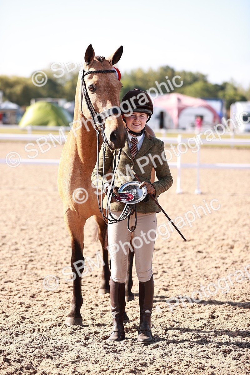 SBM_22082 - Class 703 - IH Coloured