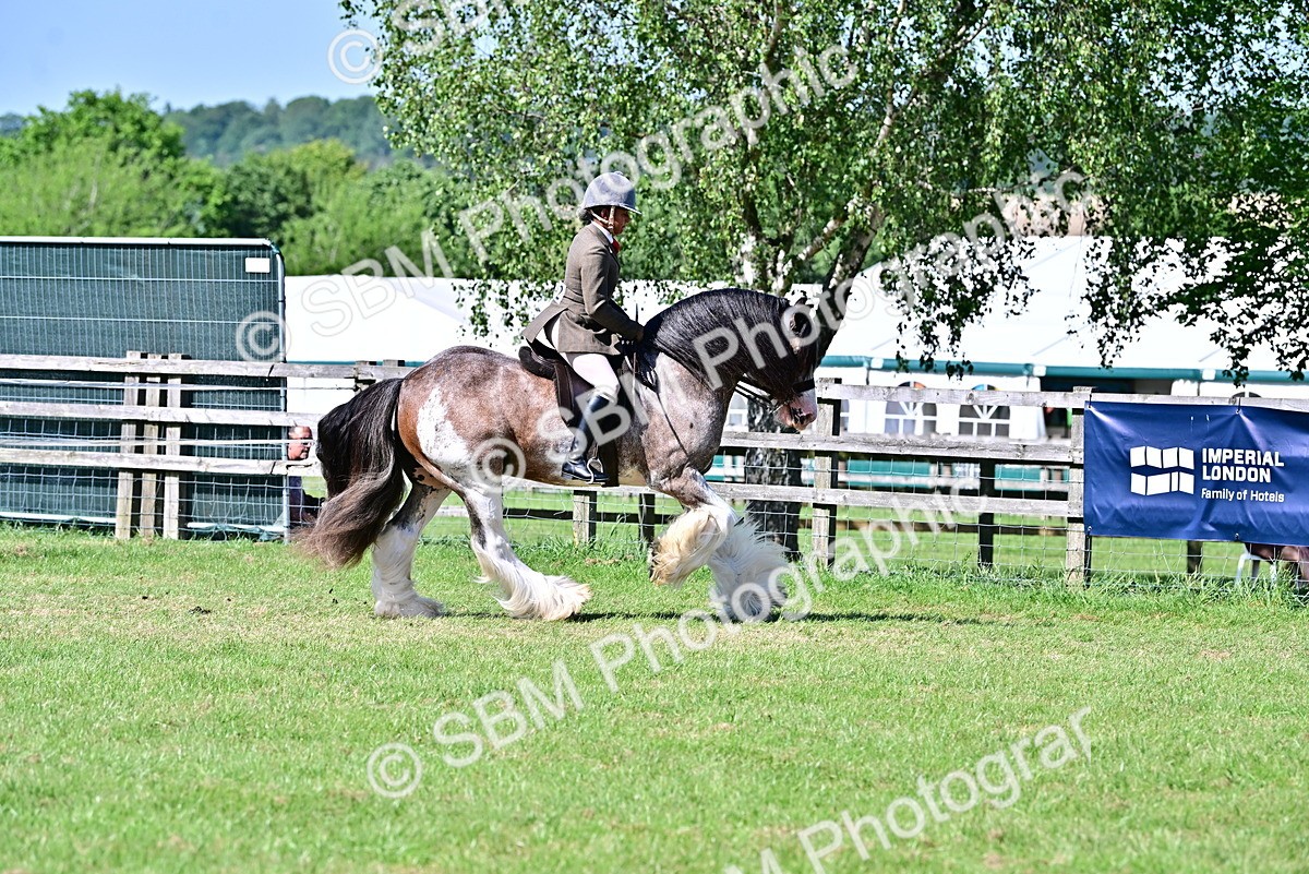 SBM_19363 - Class 101-102 - BSPS LIHS Performance Coloured Horse/Pony