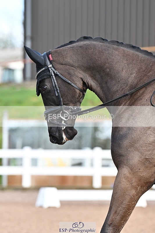 240218A-113601-06755 - 218-Jessica.Davies-Nemo.II