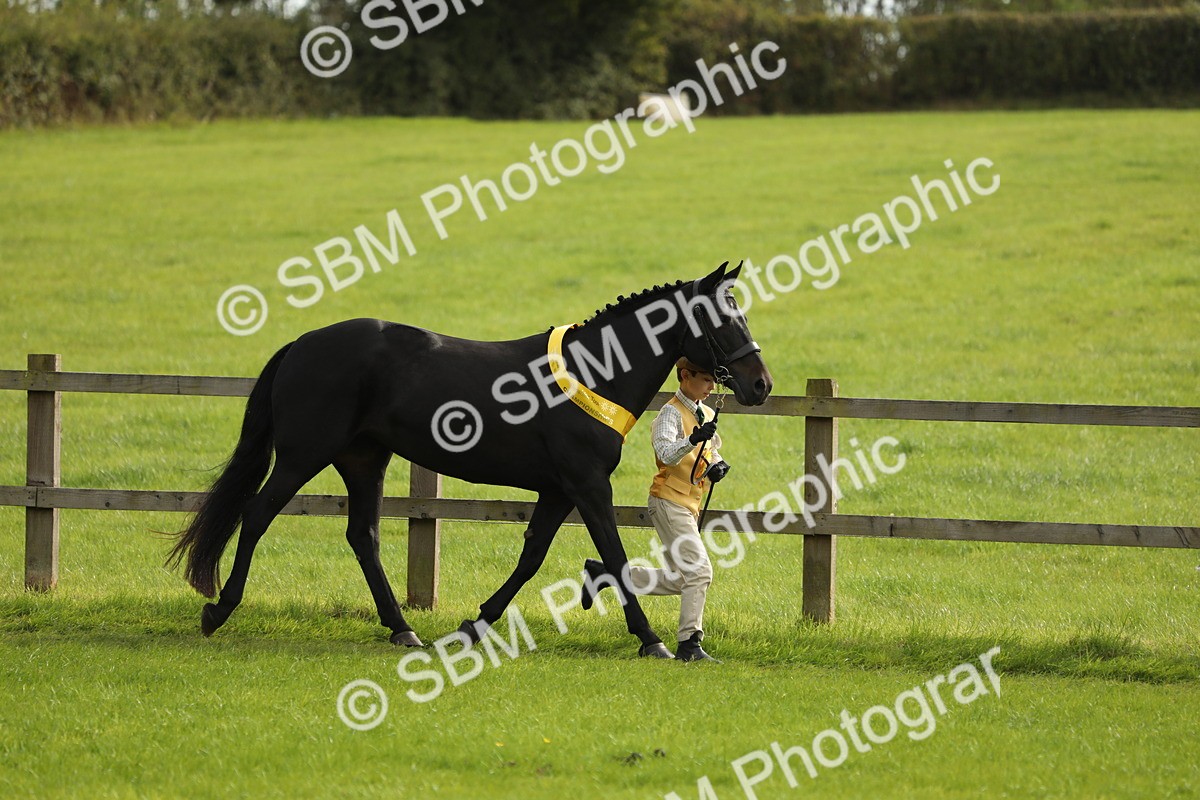 SBM_68779 - S40 - Junior Handler 9-12 Years