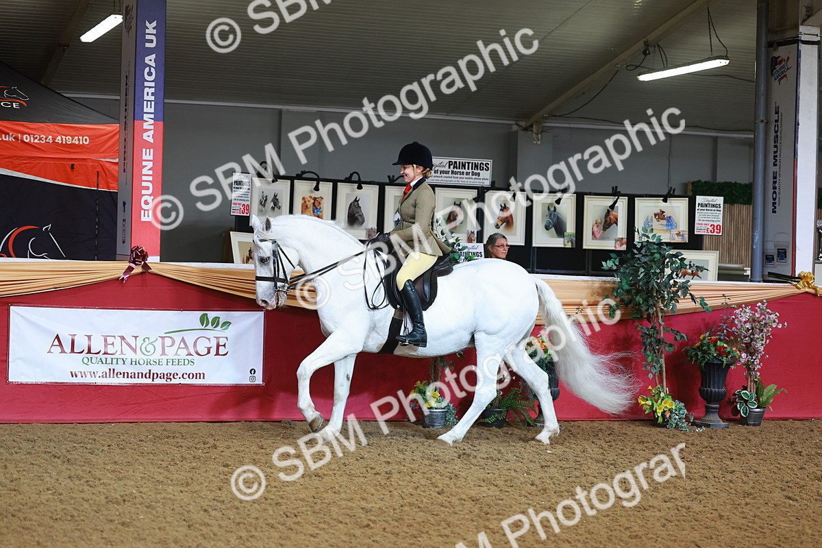 SBM_07638 - Class 101 - HOYS Veteran Qualifier - Ridden Diamond