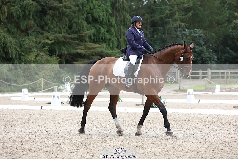 230812-120536-03923 - Cls 5 Novice Bronze 11.15 to 12.50 break