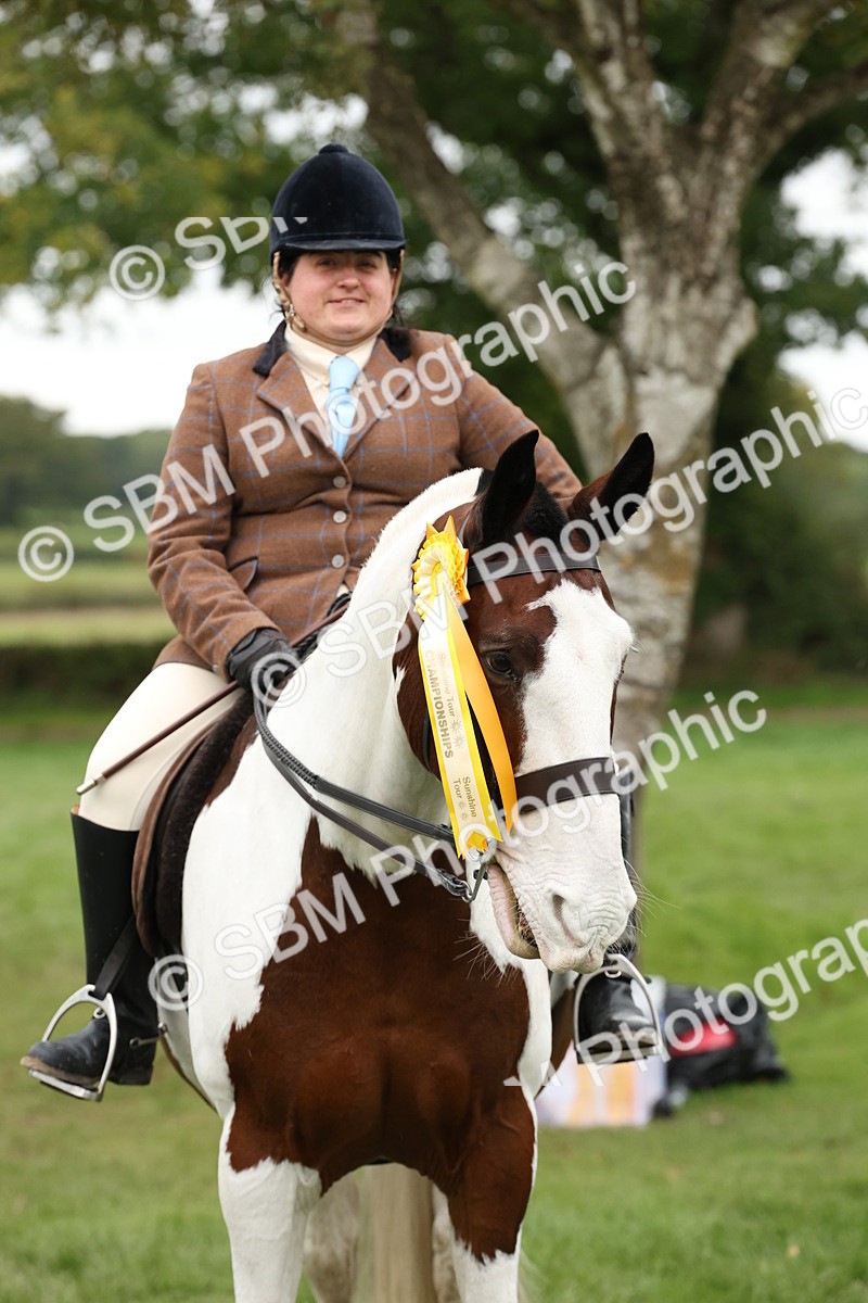 SBM_67321 - S67 - Piebald & Skewbald Horse Ridden