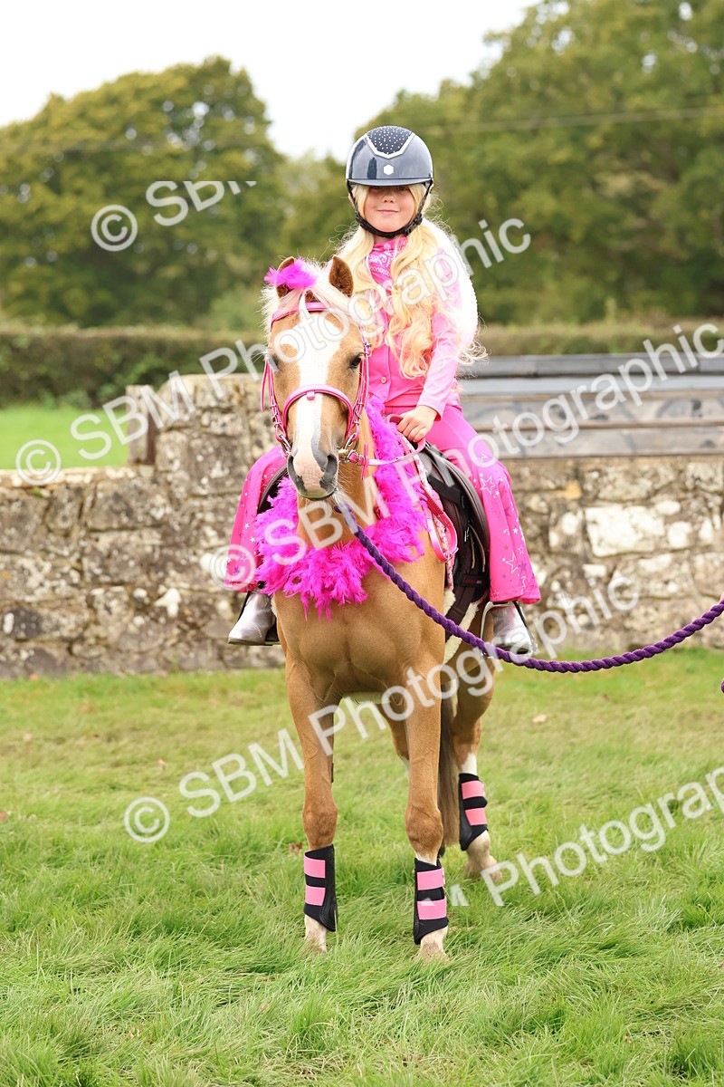 SBM_61673 - S37a - Fancy Dress Showing