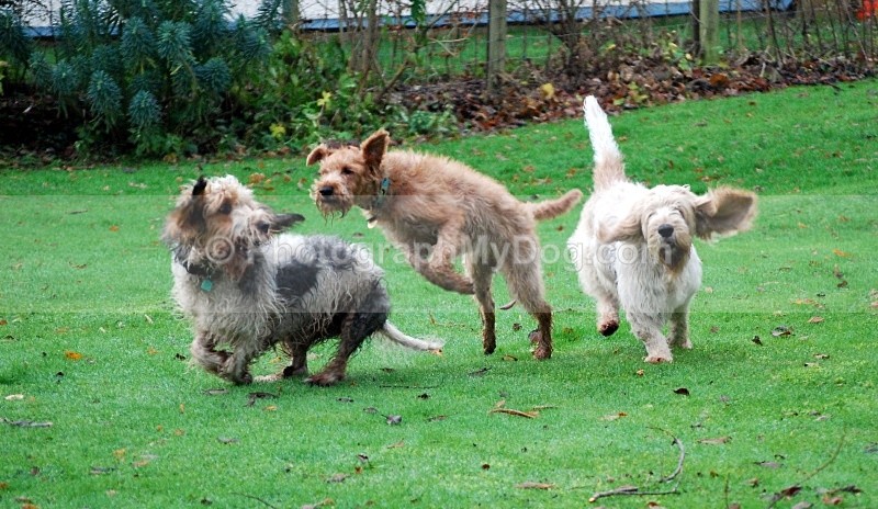 - Group Shots