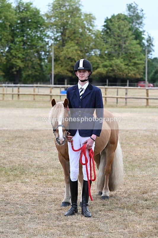 WJ7_0241 - Gelding Champs