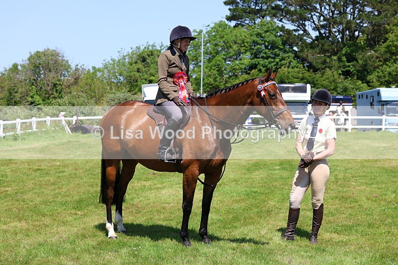 3E7A7546 - Class 31: Working Hunter Cob/Riding Horse