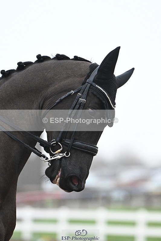 240217A-095206-00642 - 218-Jessica.Davies-Nemo.II