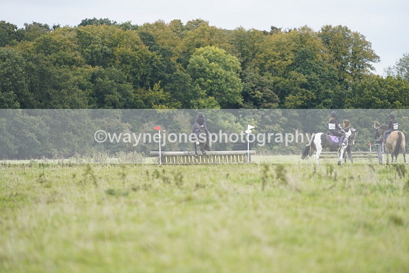 _DSC7291 - Time at Photographer 10:43 to 11:19