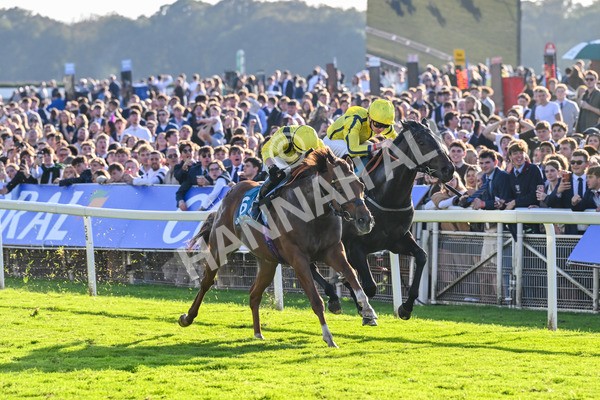 111025-Race 5-Morshdi-8901 - Race 5 Coral 'We're Here For It' EBF Maiden Stakes at York